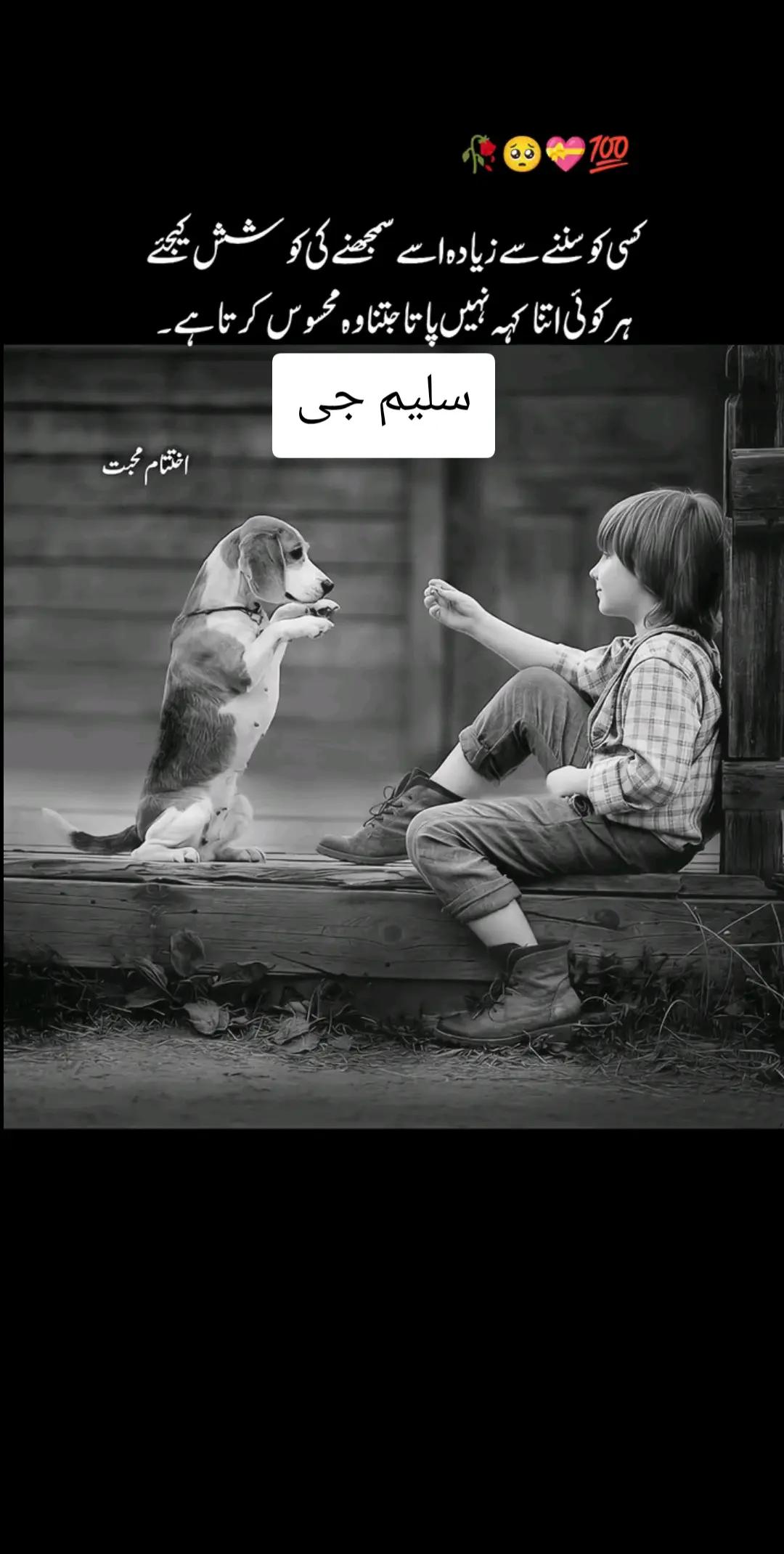 @🇸🇦🤍🥀🥀نواب زادہ🤍🥀🥀
