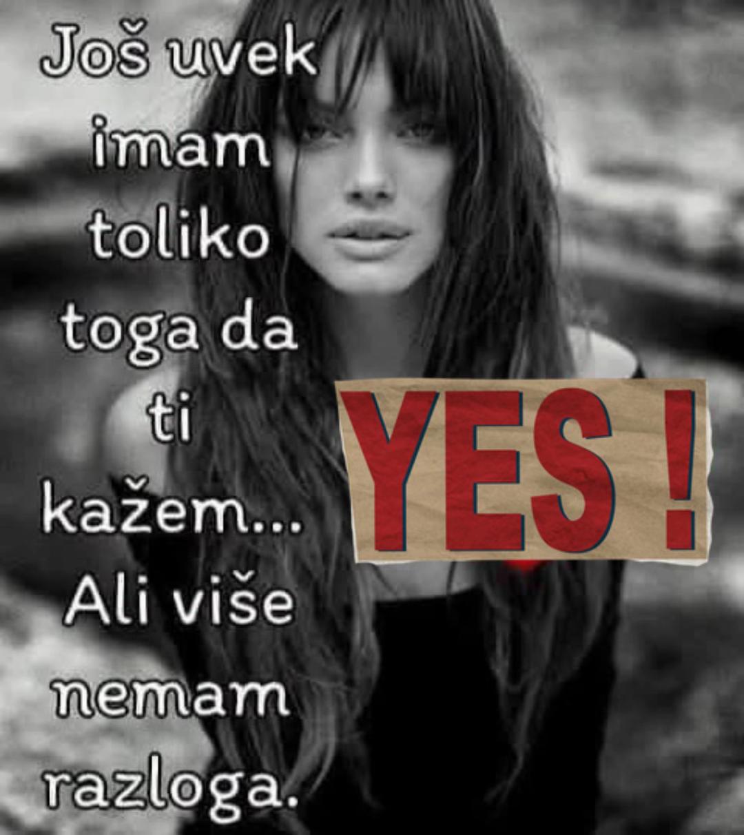 @Jelena ❤️ tvoja ❤️
