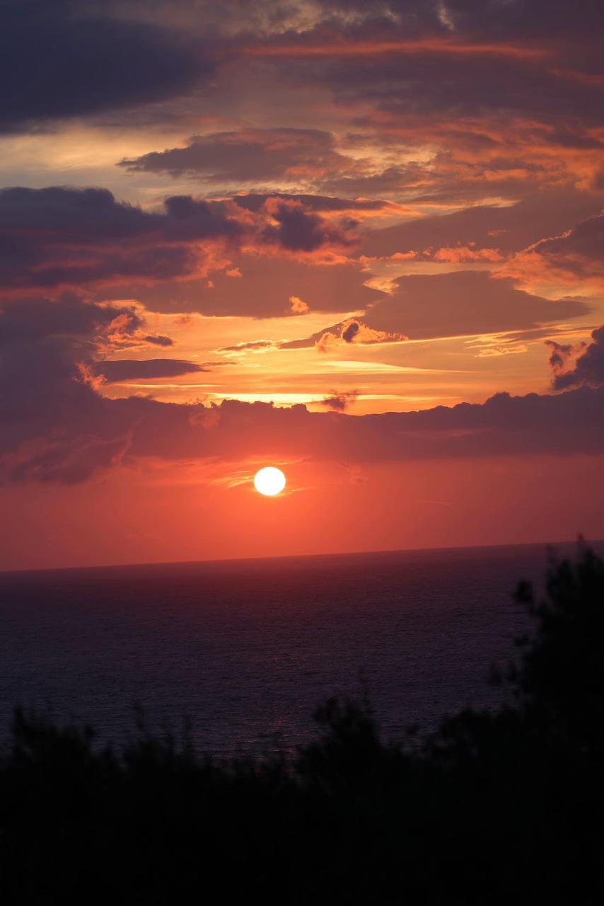 @Garden of Mykonos