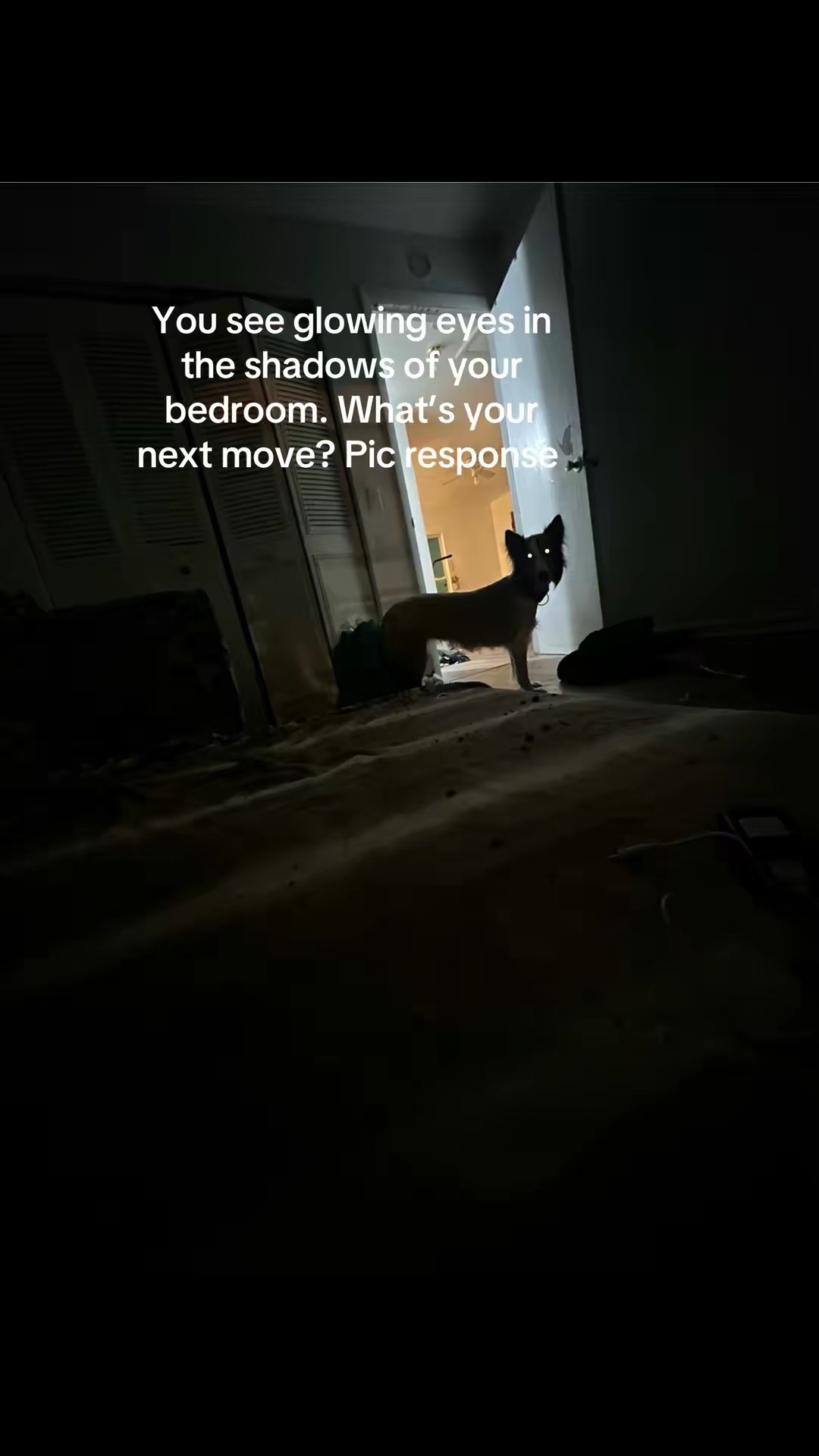@Goober❌