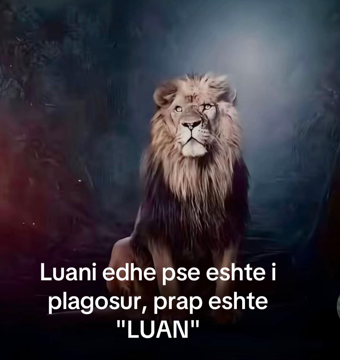 @vrenezi7
