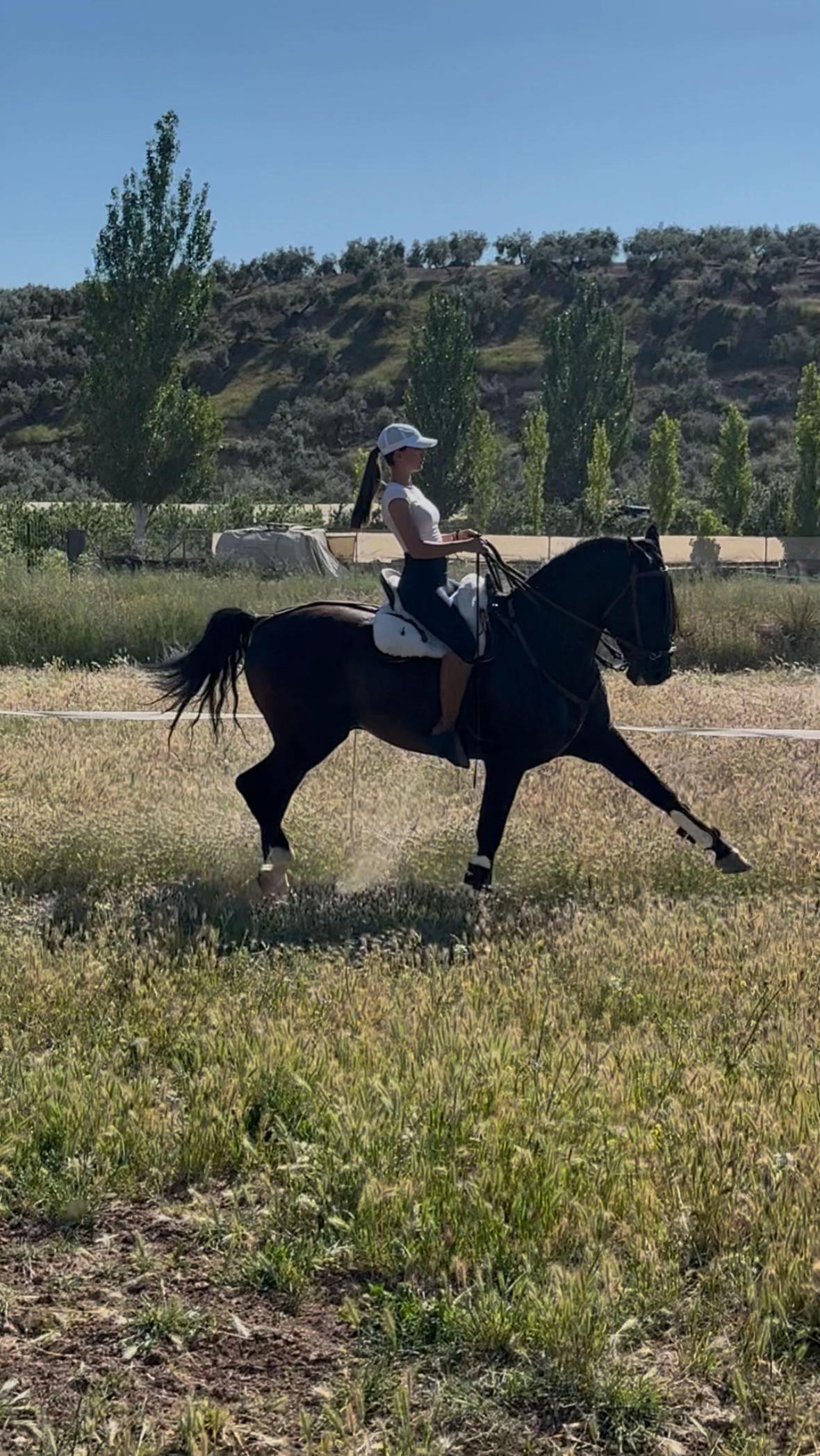 @Sandra Molina🐎🇪🇸