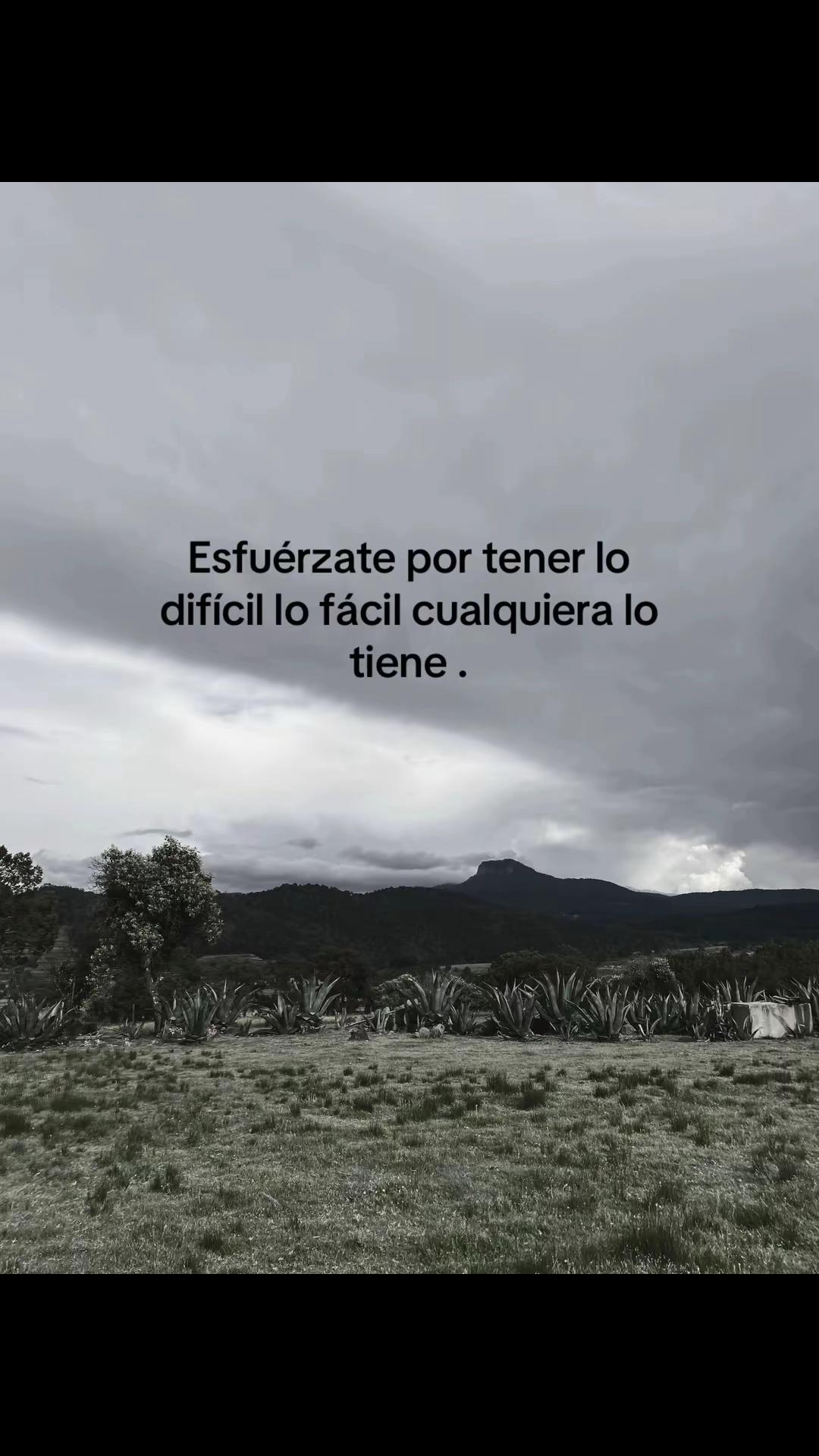 @.Aleee.