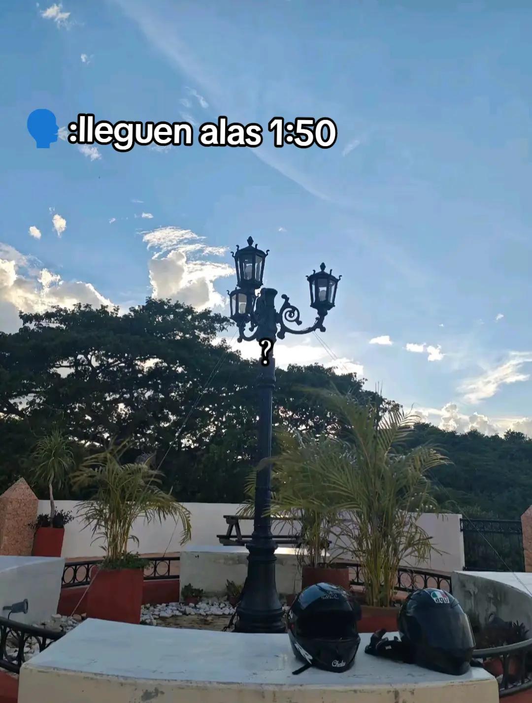 @𝘔𝘢𝘶 𝘋𝘛𝘙𝘹𝘻𝘻