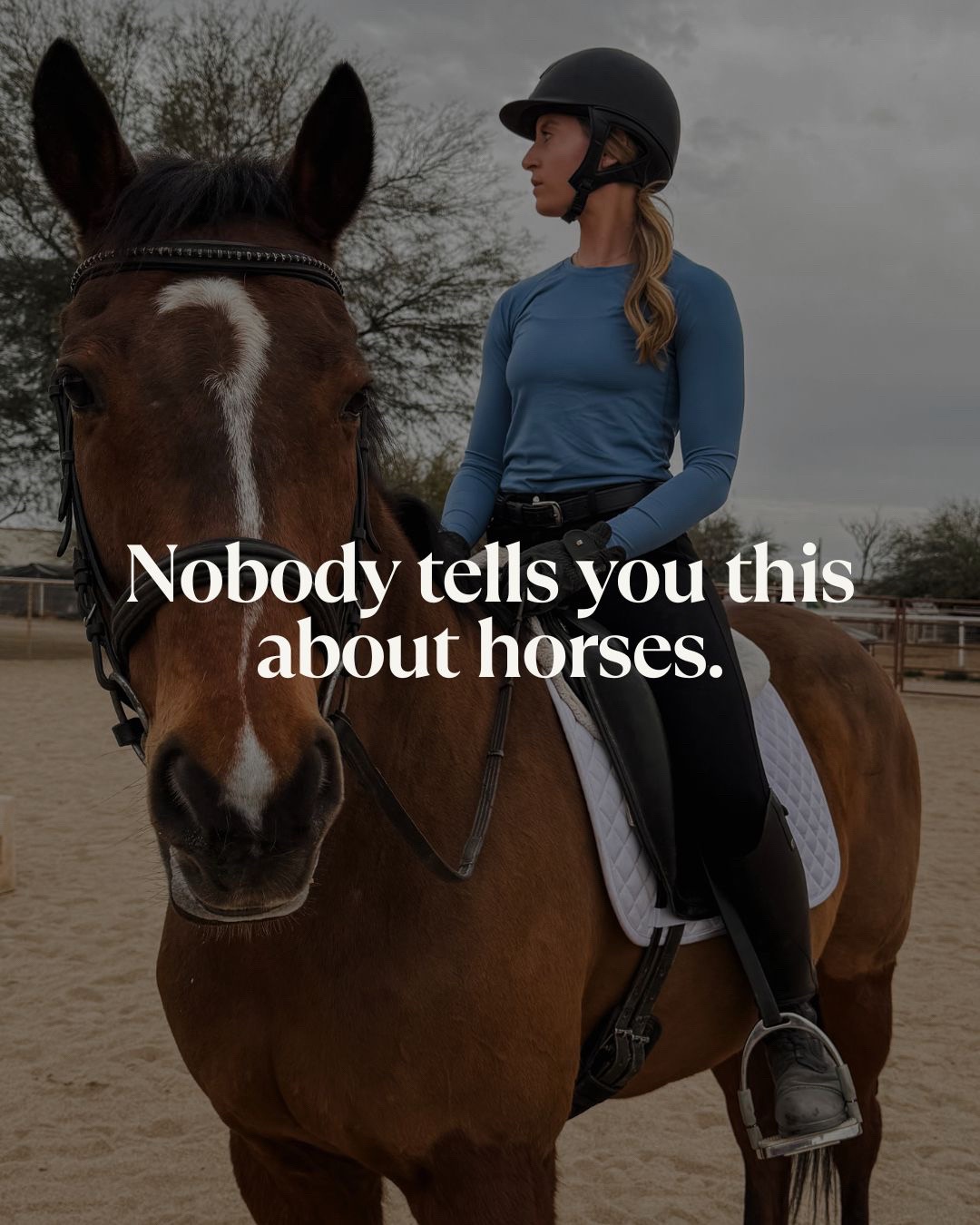 @VictoriaLynnEquestrian