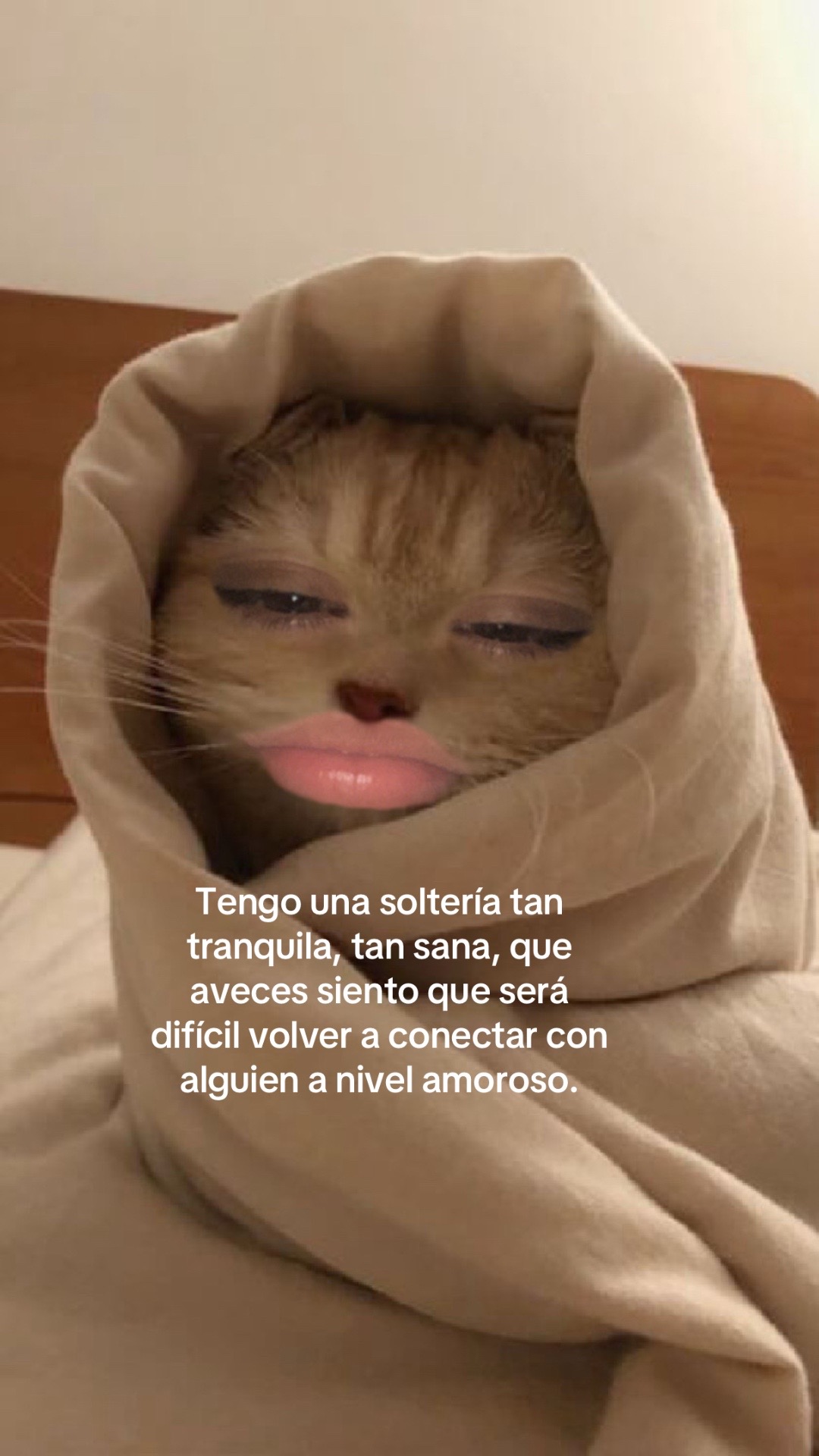 @𝓓𝓪𝓷𝓲𝓮𝓵𝓪.🧚🏻♀️🩷