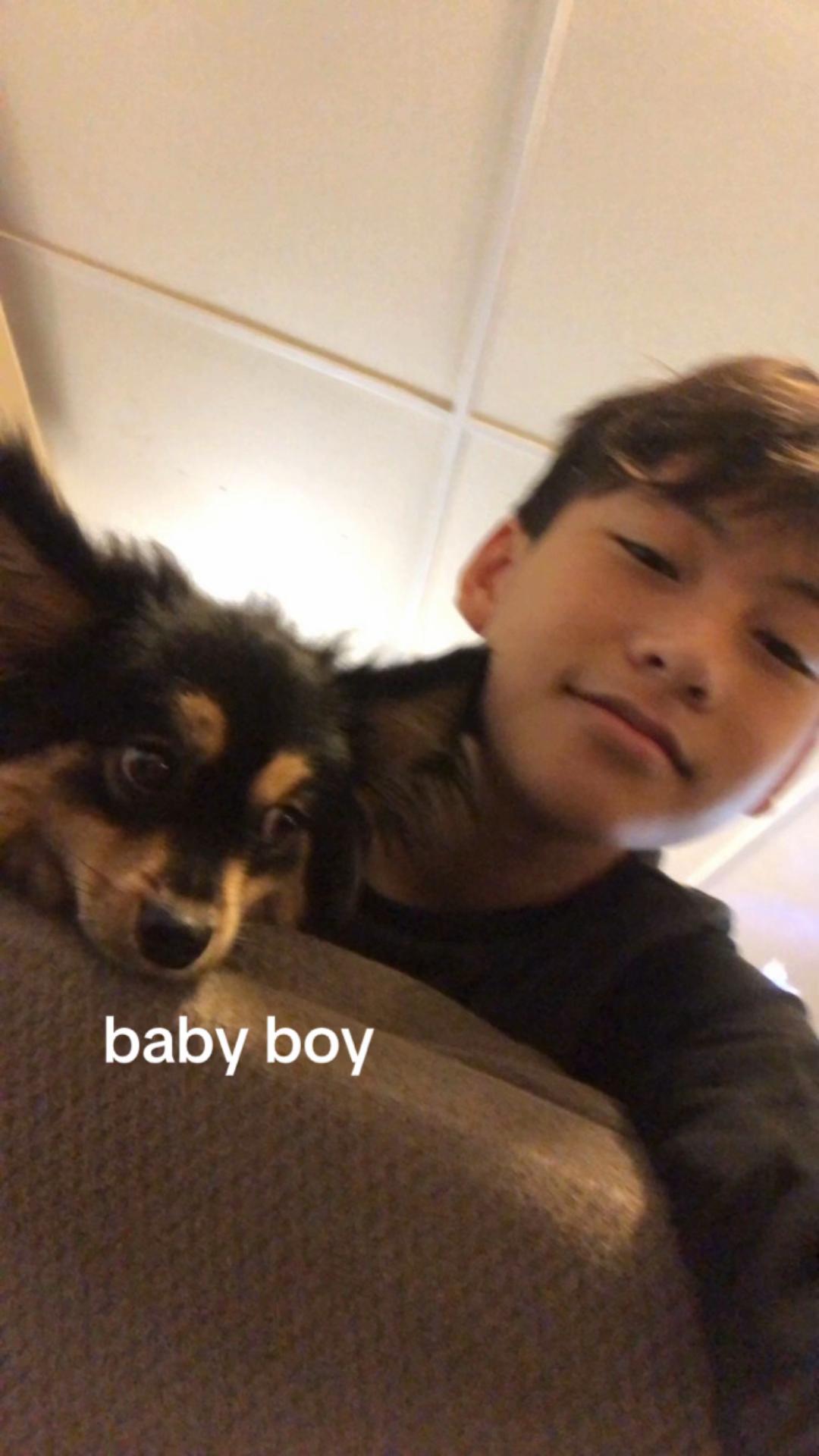 @starfall update (fan account)