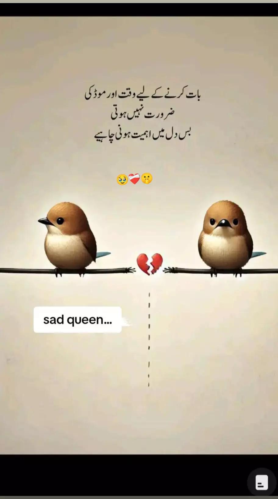@Usman