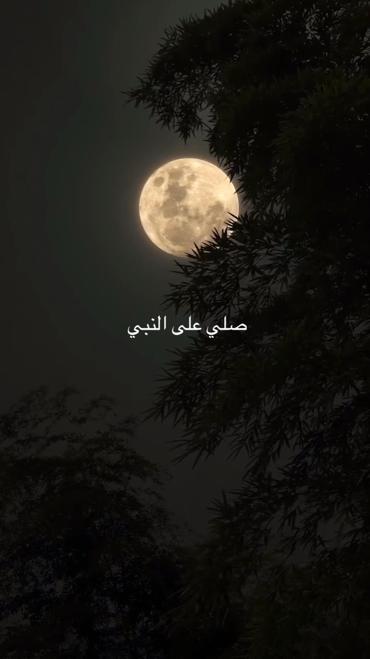 @🗡️515هذيل