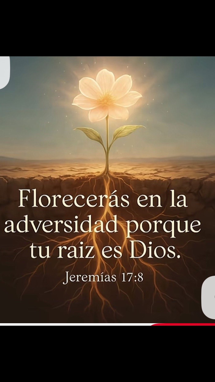 @🇵🇷Alianys Zoé 🇵🇷