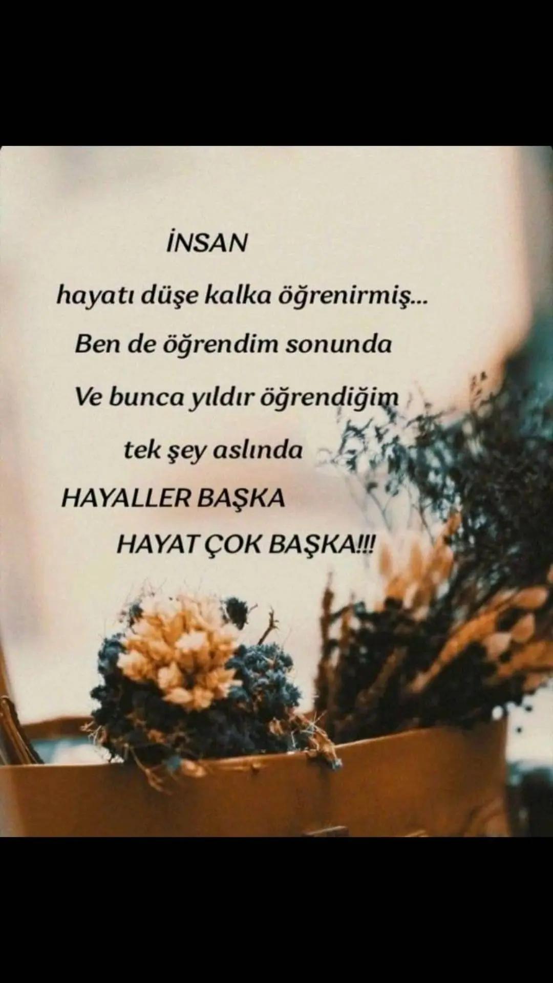 @65sevgim_gl