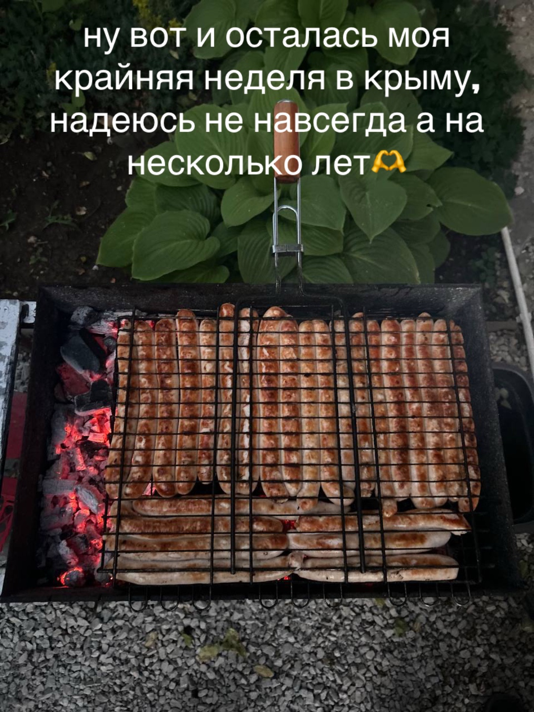 @pelmeshka_82