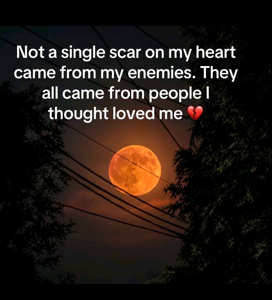 @brad.millar