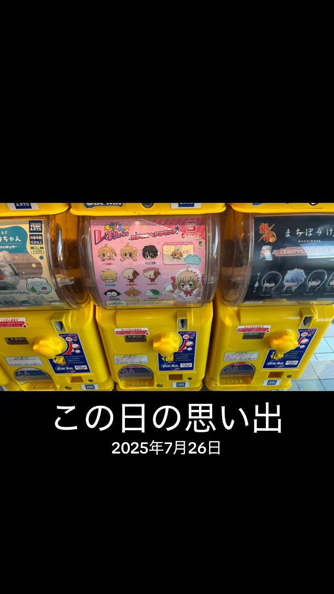 @☆メリー☆彡