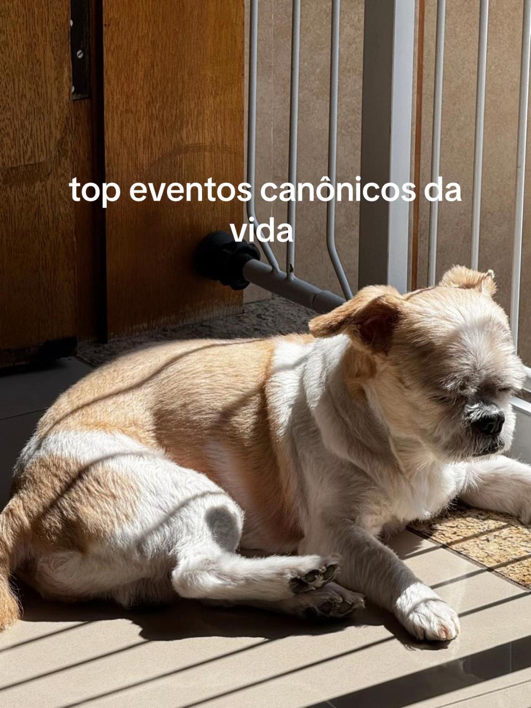 @💜⭐️Putz,&eacute; a Juh⭐️💜