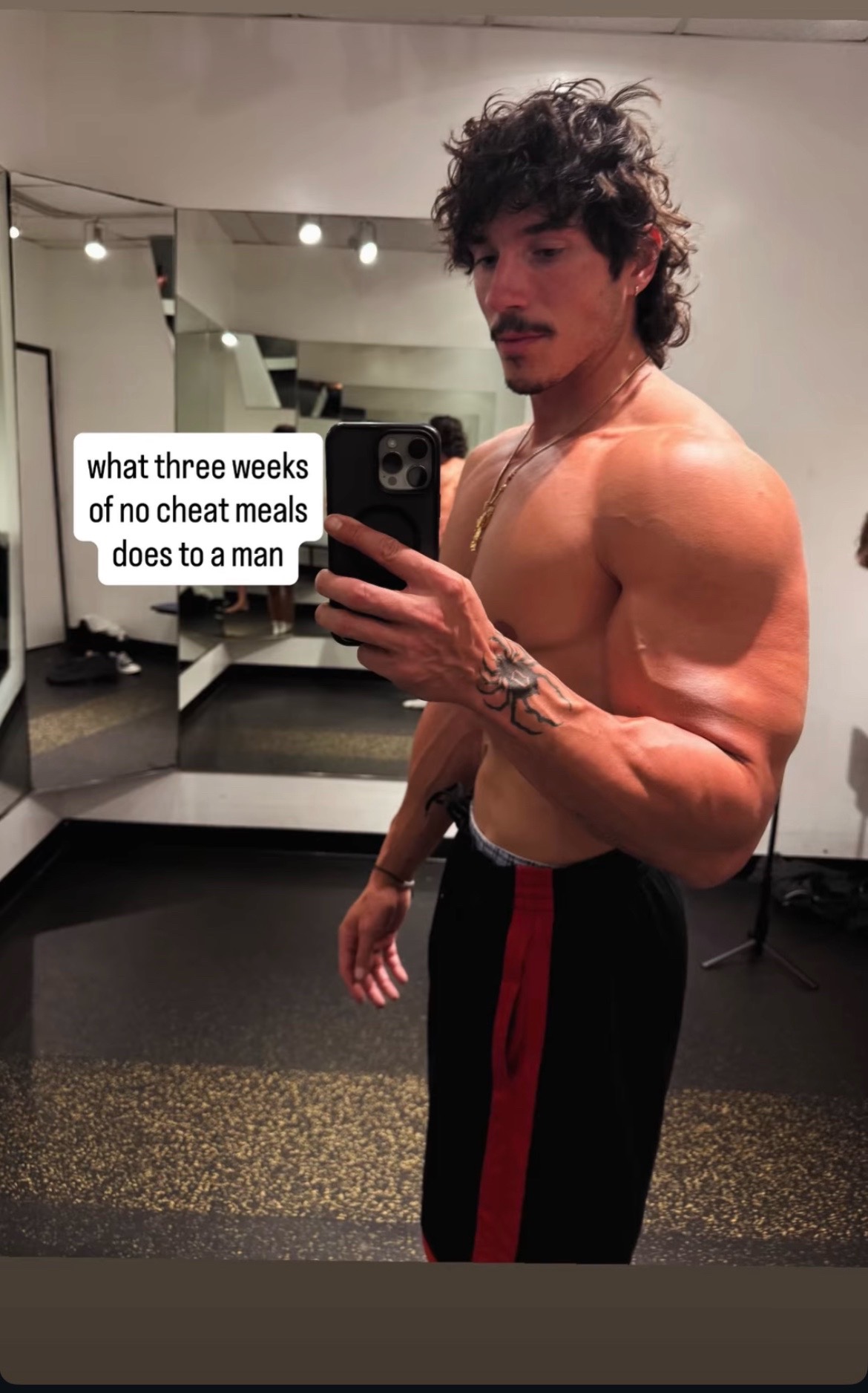 @Cuntyarchiv3s