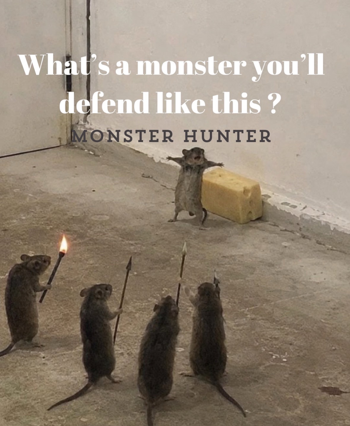 @Hunter Aesthetic