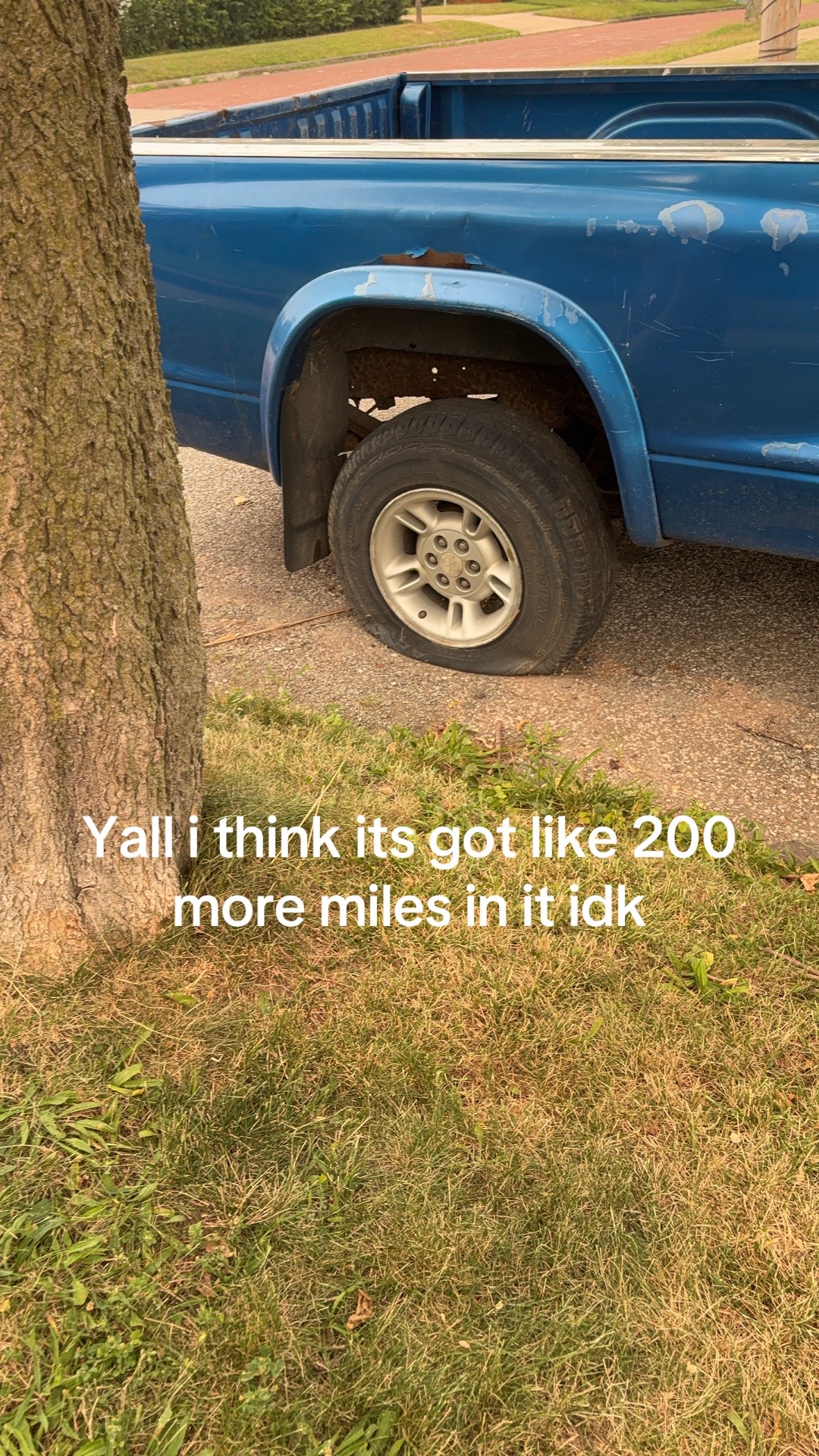 @Somebody
