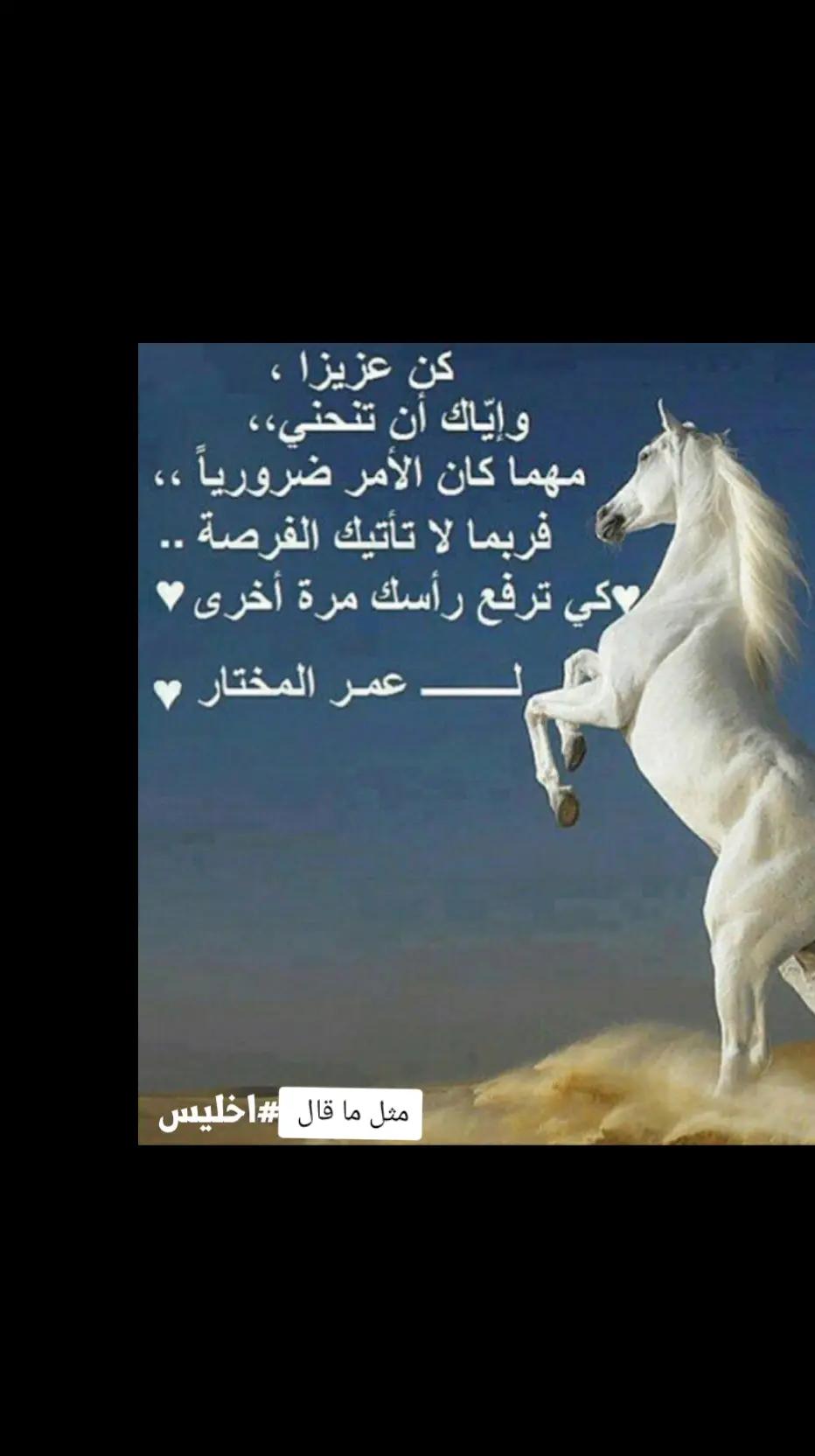 @منوعات