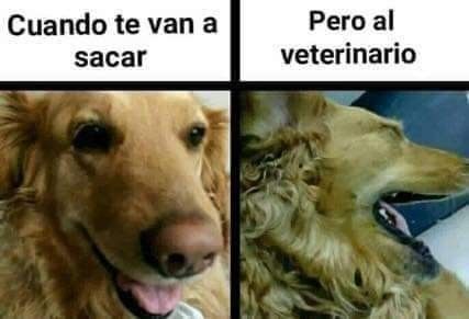 @Pancho Cavero