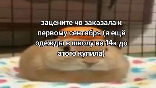 @||лэнгли 💌🪽✧*。