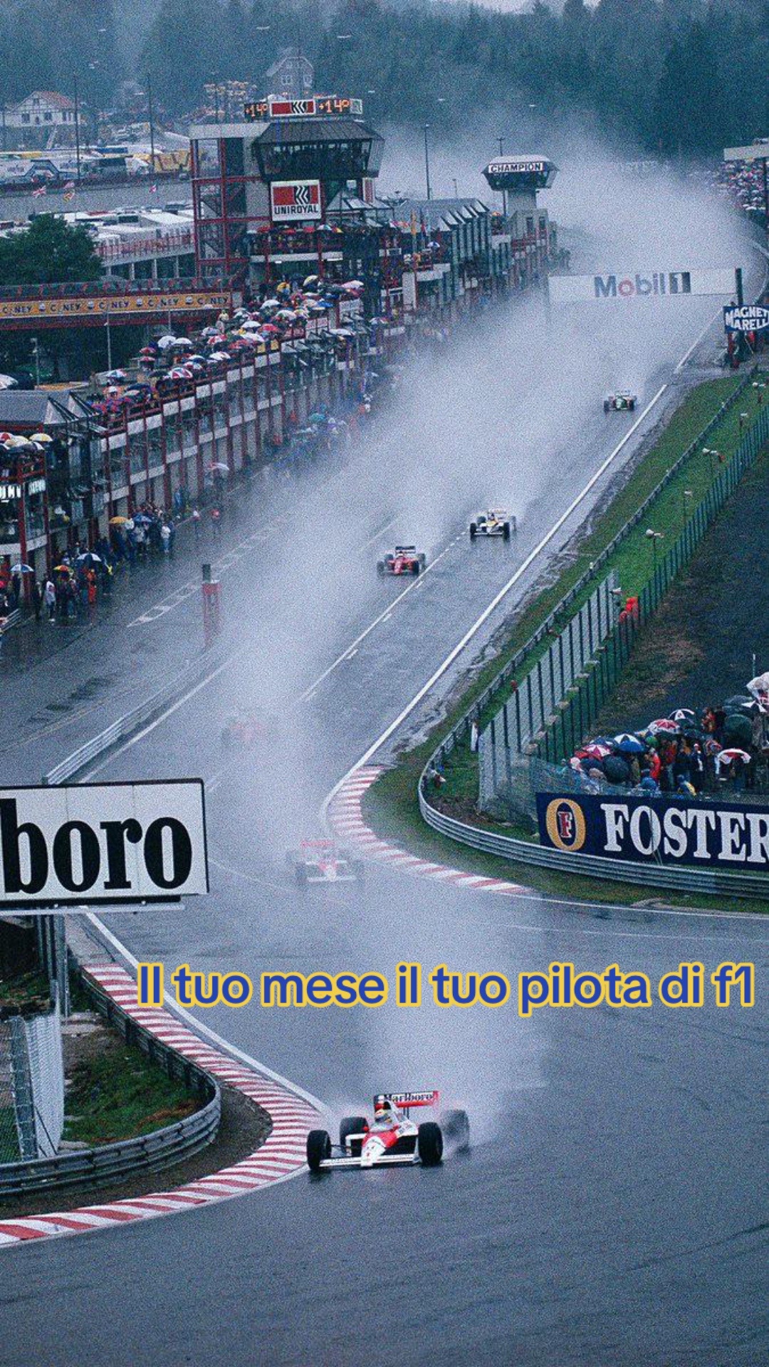 @f1 legend