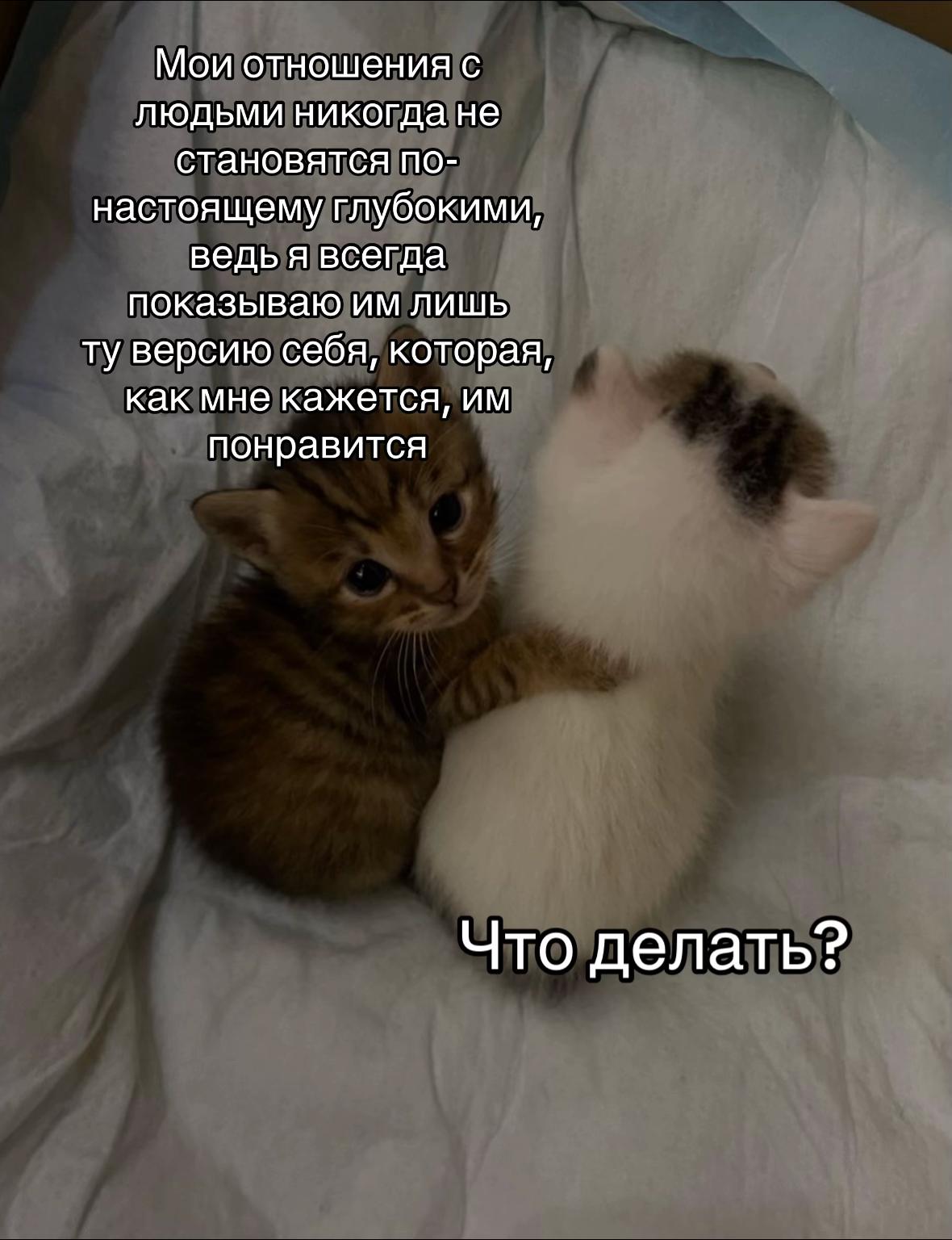 @тгк: психология с марго