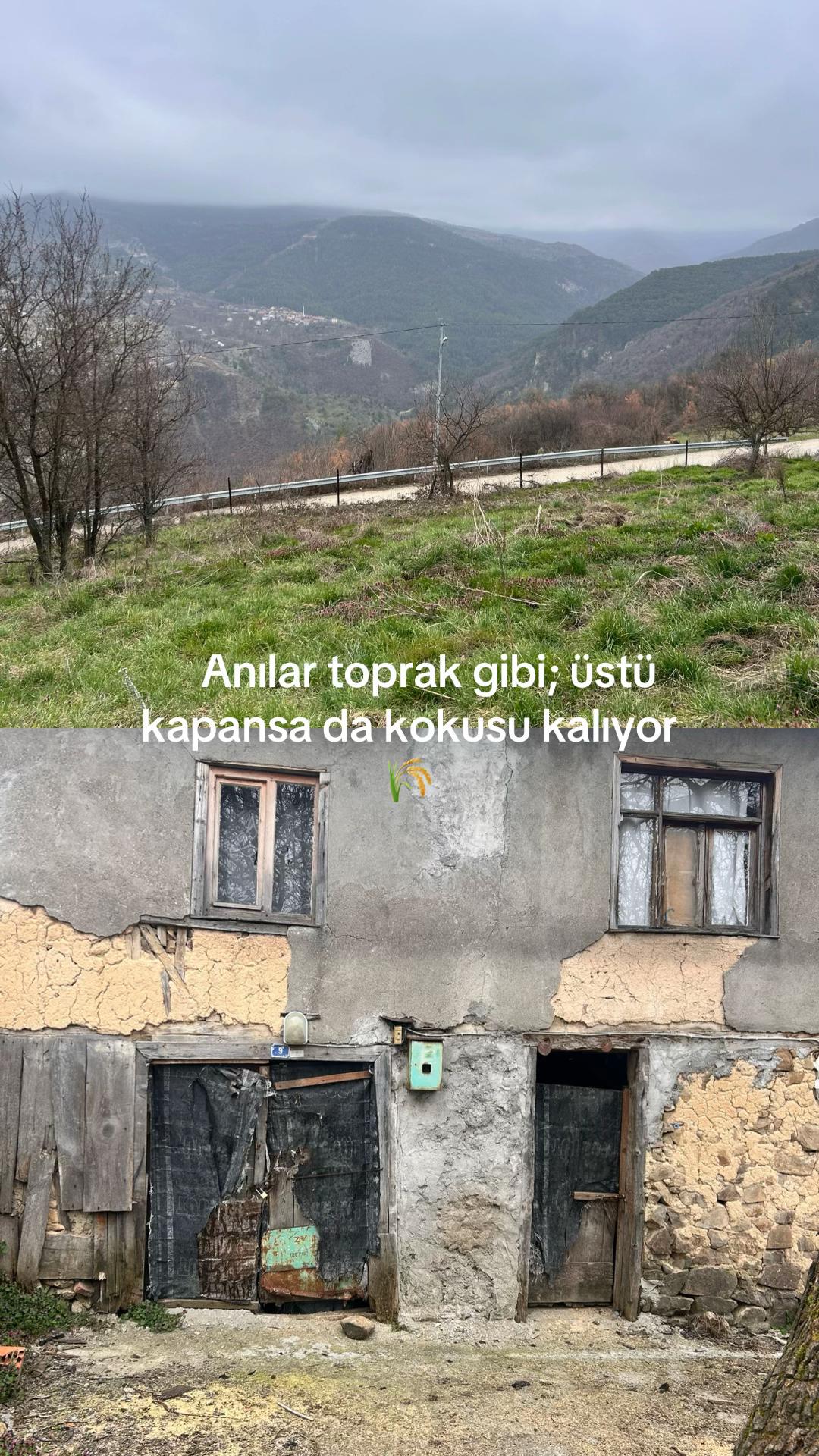 @Utaher