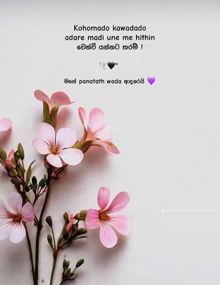 @✰__I  d u s a r a__☺️💗