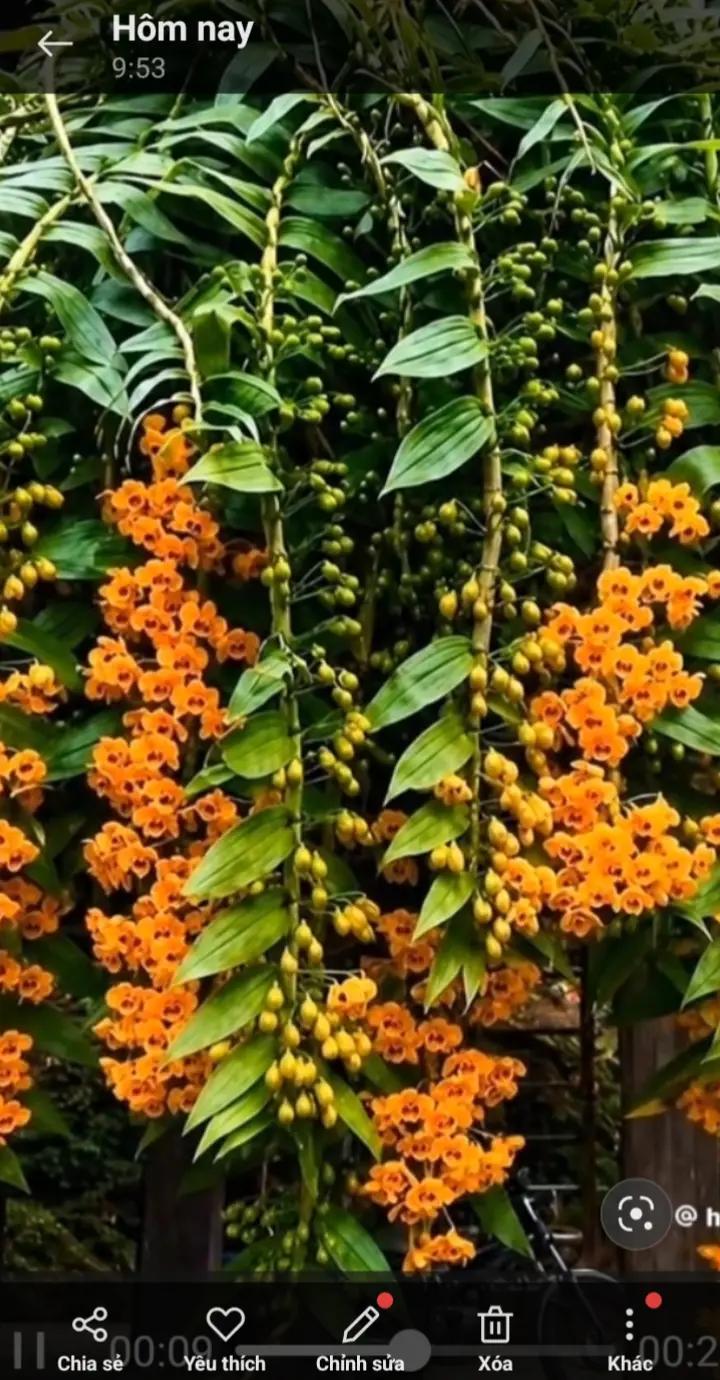 @Nguyễn Thị Hải Yến