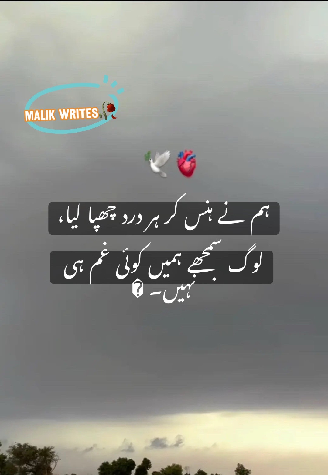@ملک بادشاہ🔥