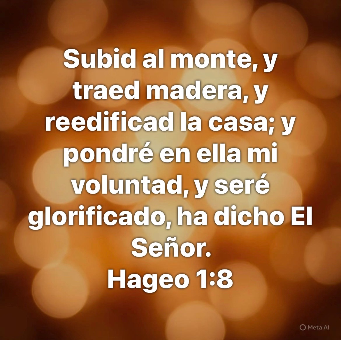 @Vicente Martinez Torres