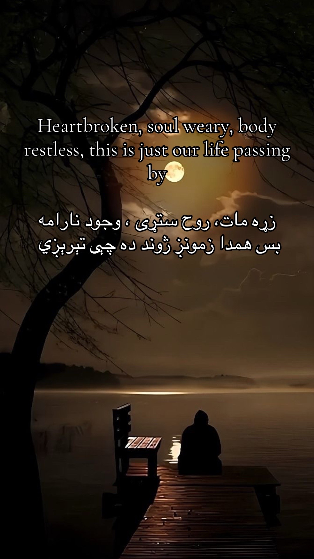 @𝐒𝐚𝐥𝐦𝐚𝐧🍁