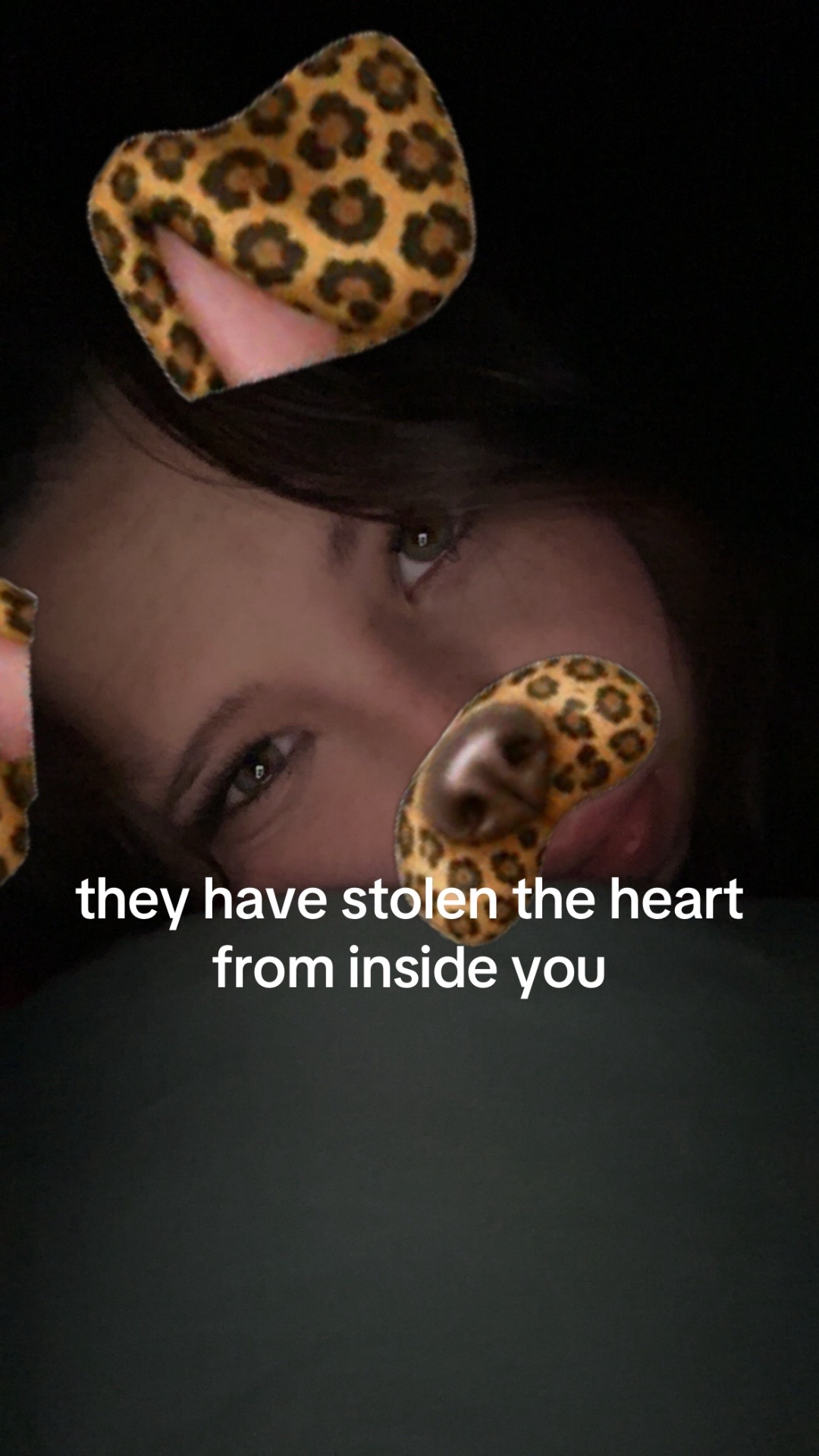 @Charlisecretspam