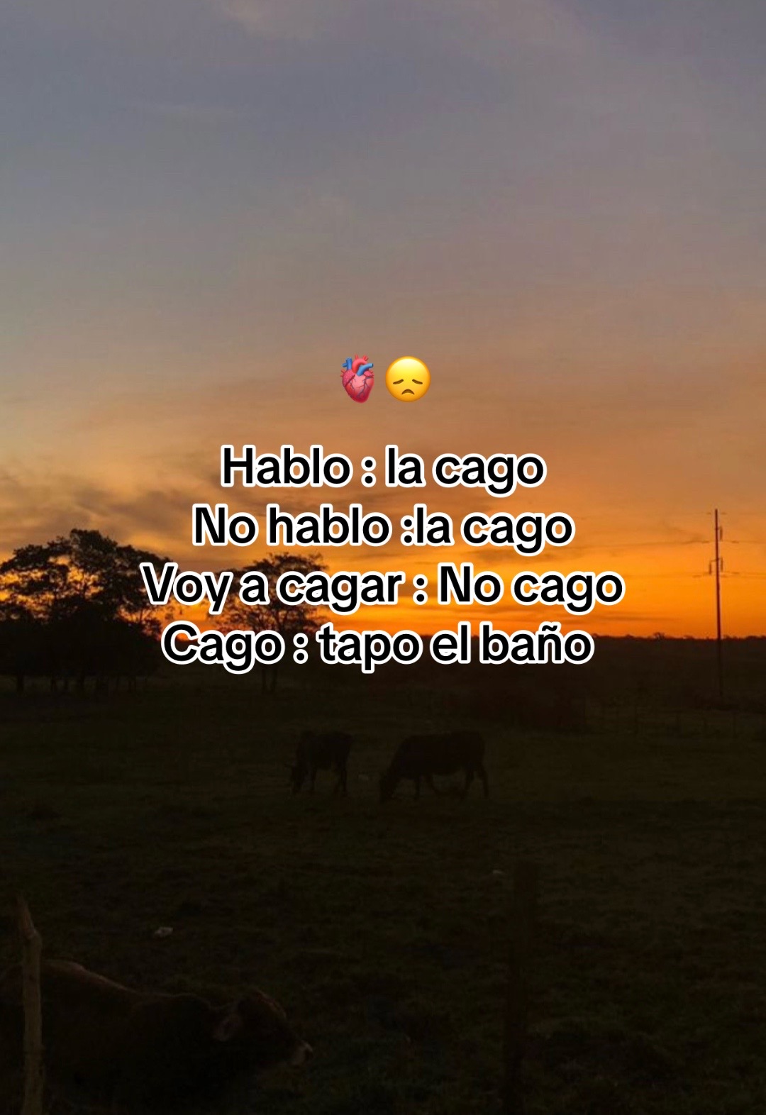@𝓢 𝓗 𝓔 𝓨