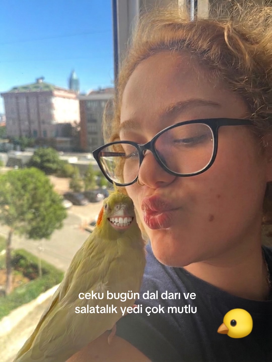 @aksikedii