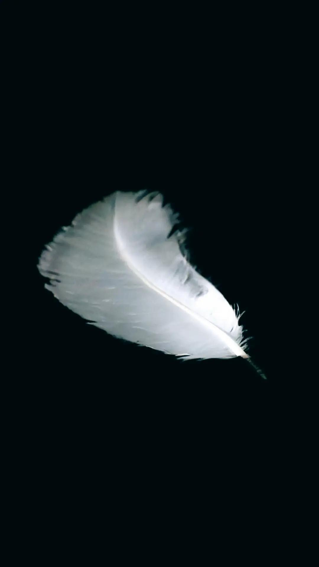 @Sigma🪽