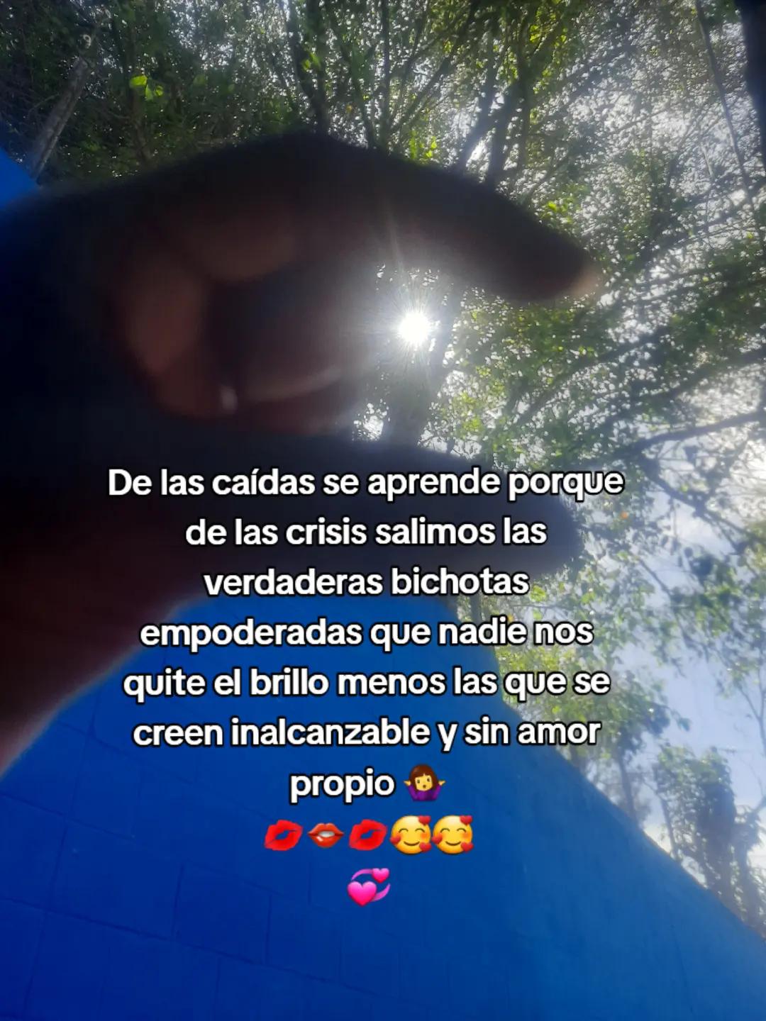 @Ana Preza👩🍳🍮🥰🧚♀️💐🌻🥰