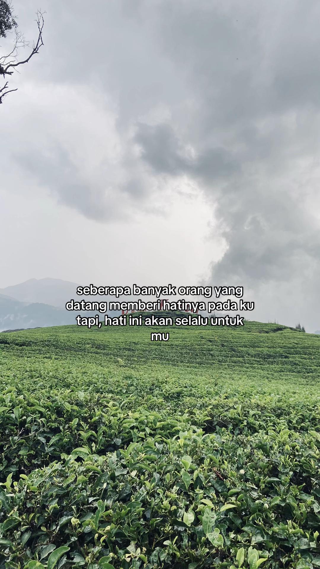 @Marmud