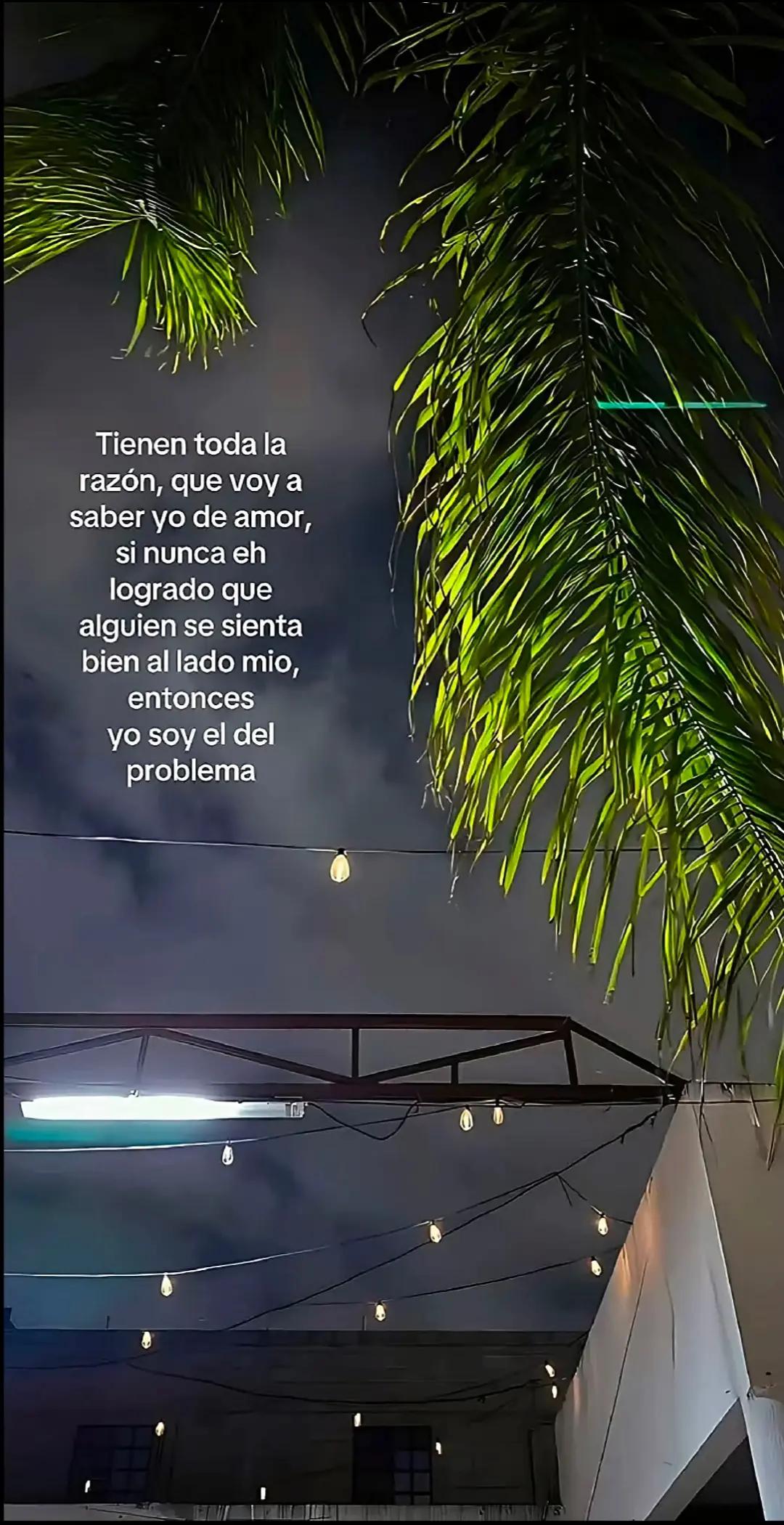 @Navarrito🌹🐊DM