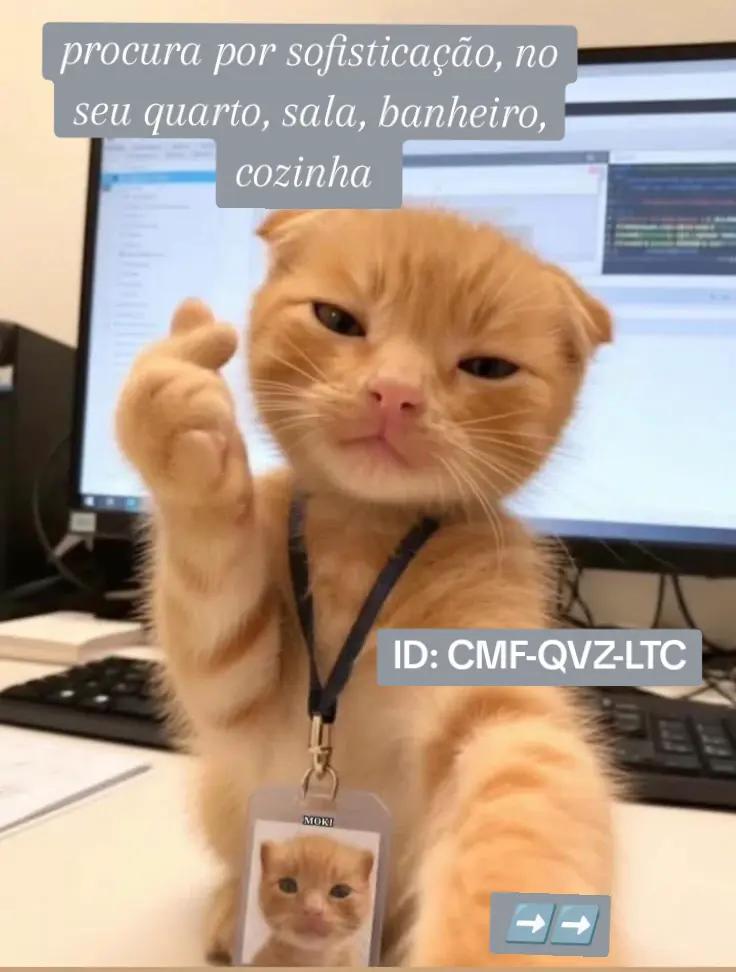 @BIBI