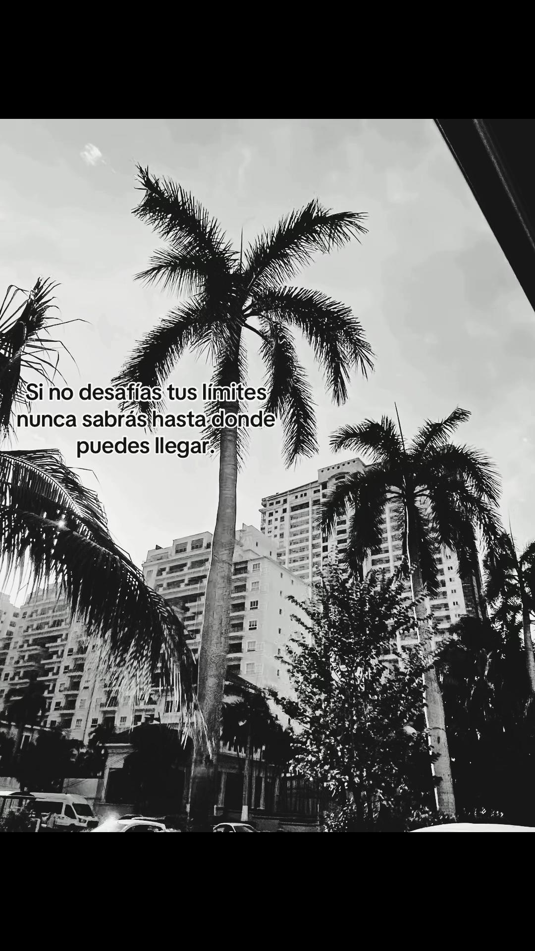 @.Aleee.