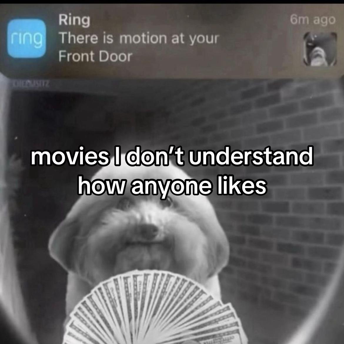 @salmonconnoisseur