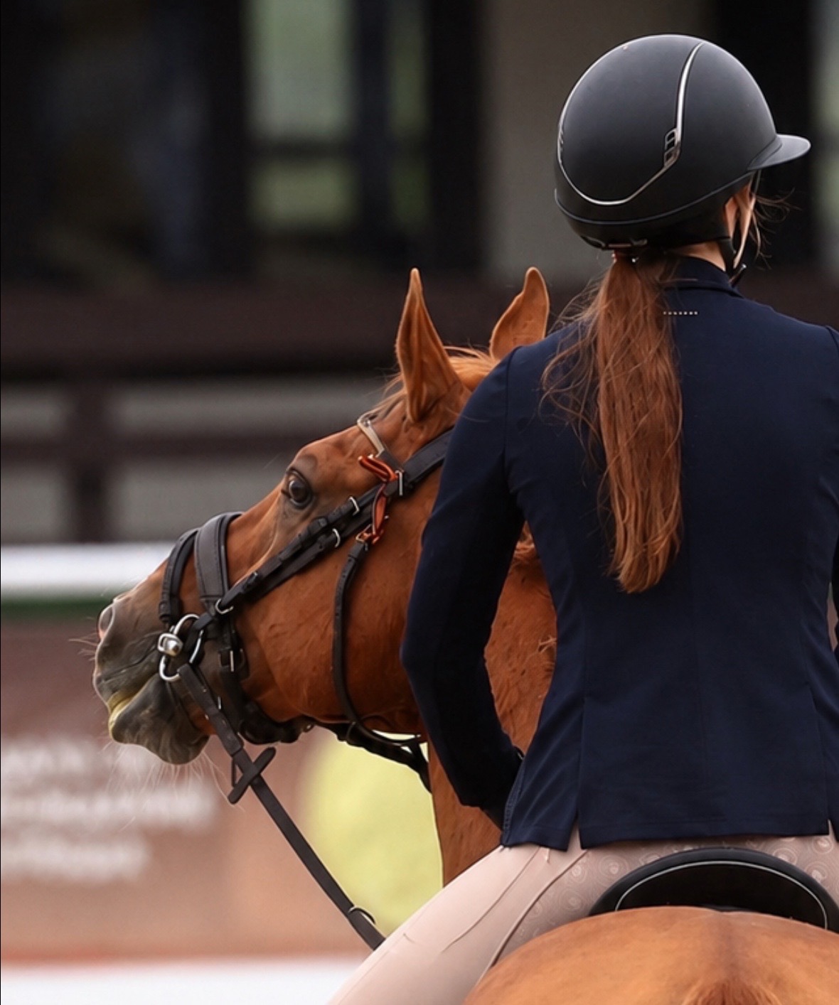 @Tгк:Margarita equestrian