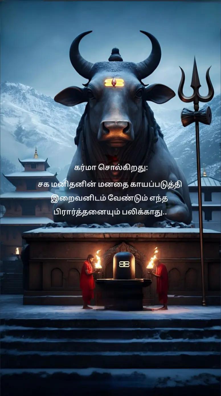 @🌜మెష్నాగా🌛