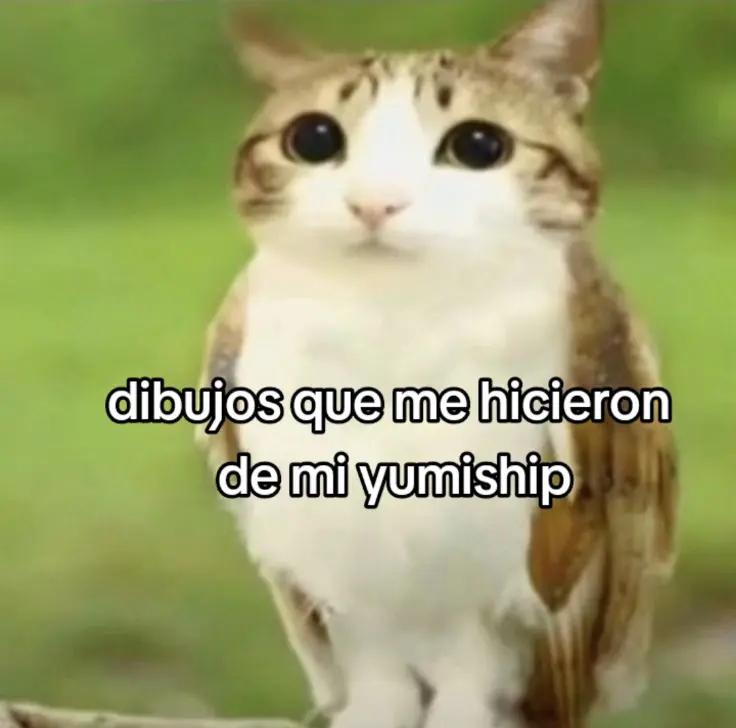 @𐔌 . MİNA .ᐟ ֹ ₊ ꒱ 🐧