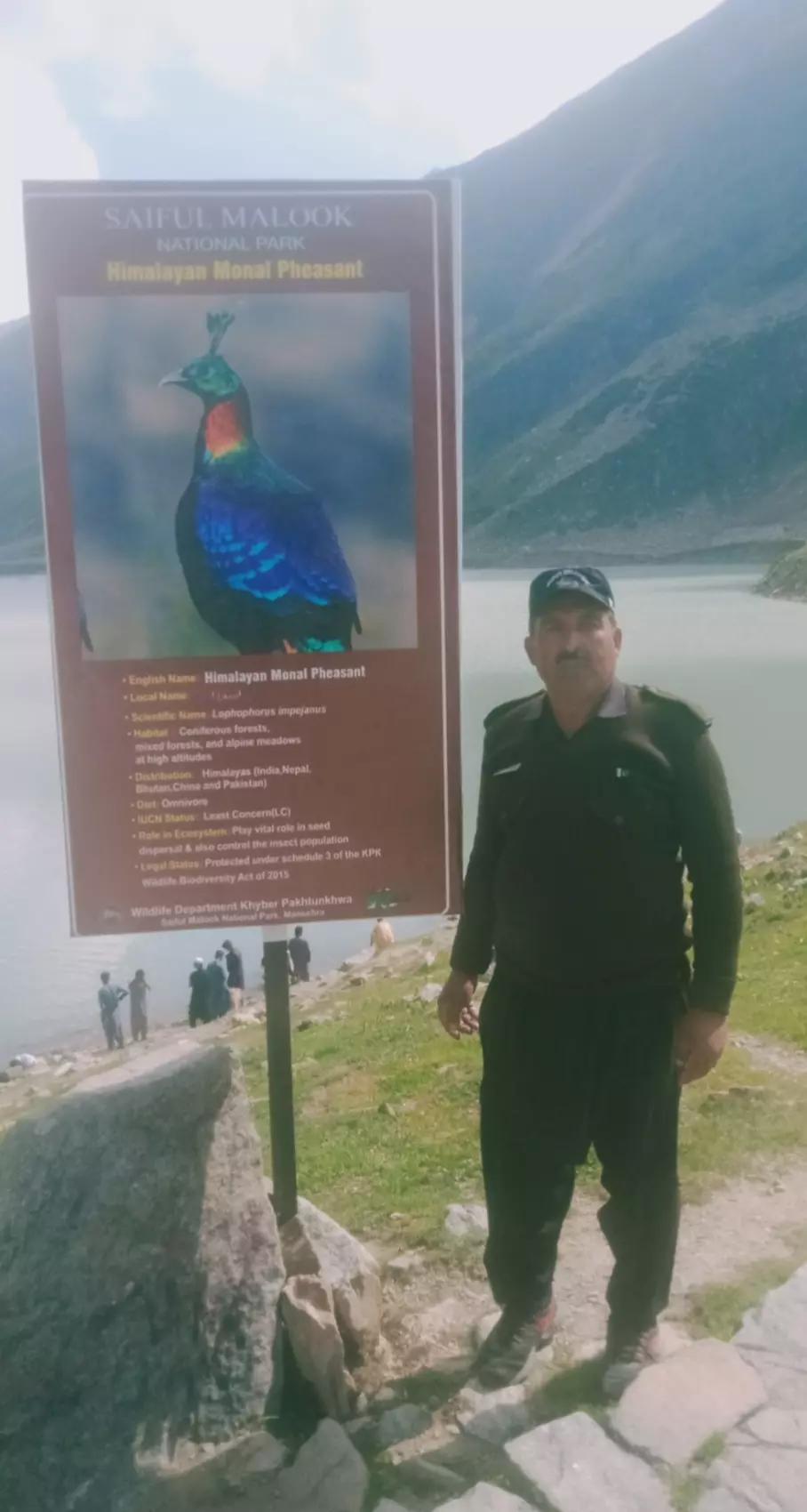 @M Faisal naran