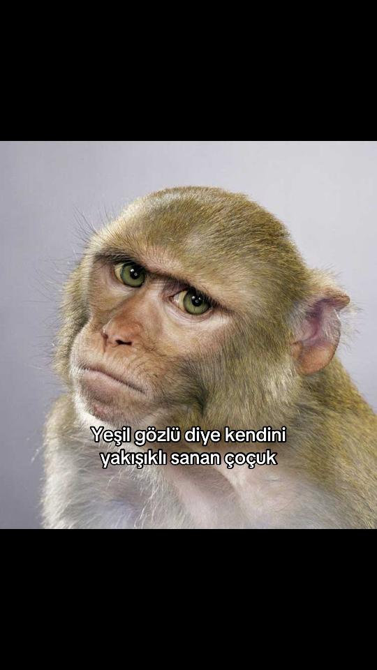 @Hesap satılıktır