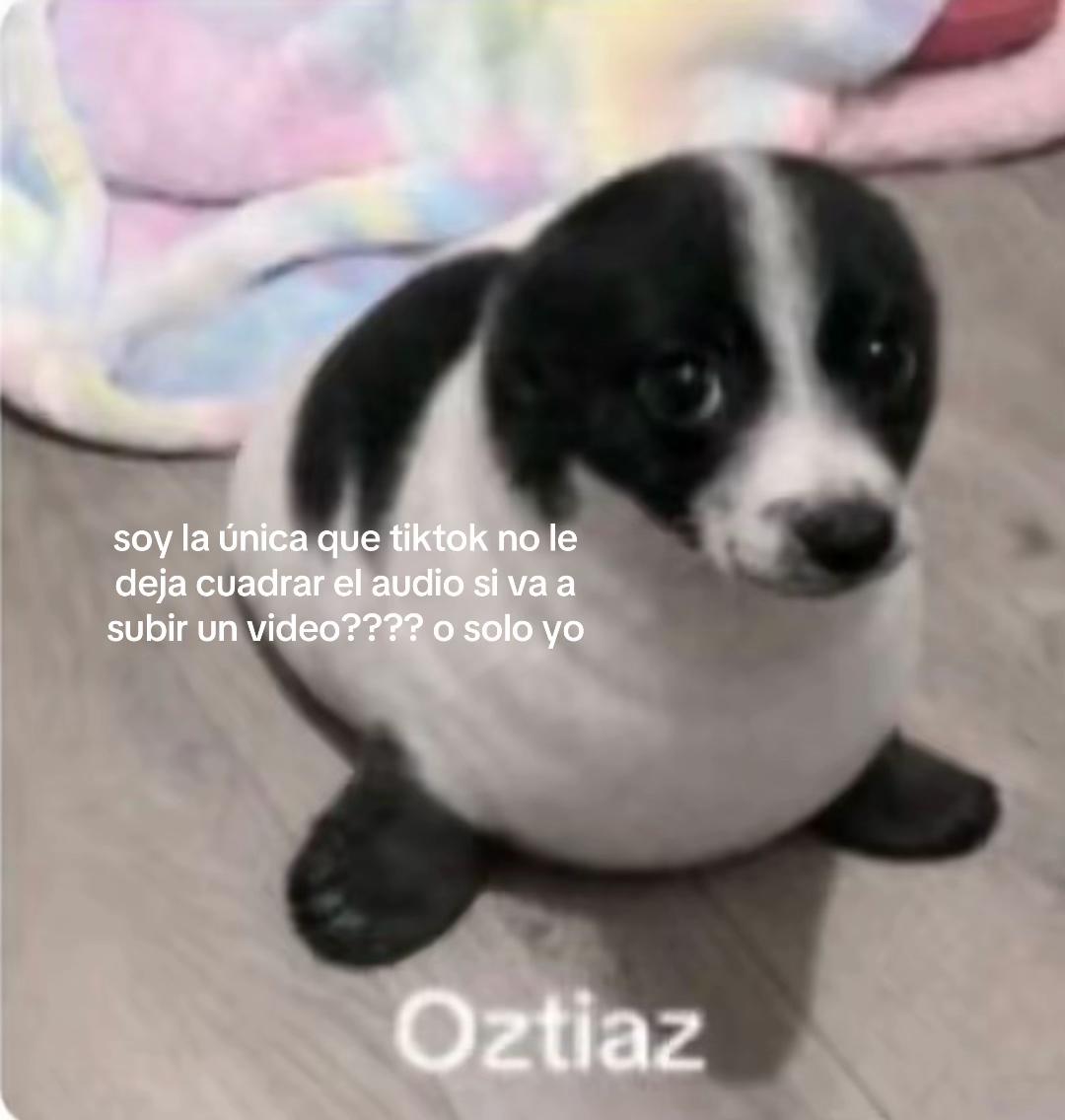 @𝐨𝐨𝐩𝐬𝐜𝐡𝐚𝐞𝐲𝐳𝐳𝐳𝐳