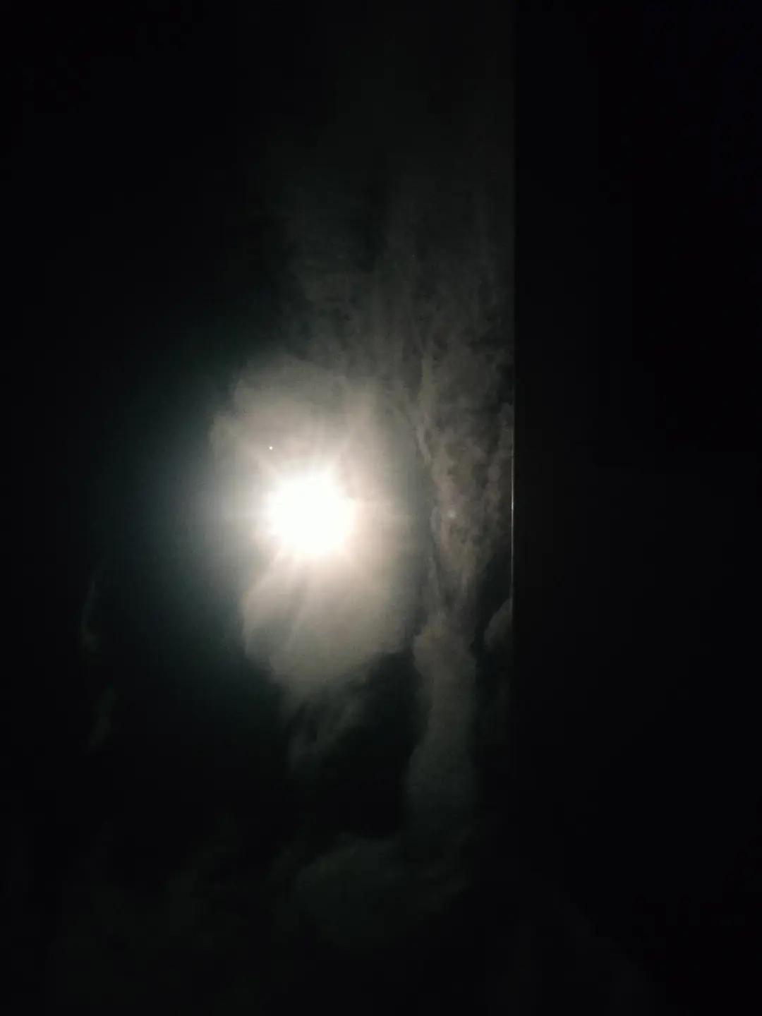 @Angry__Wolf 🌙